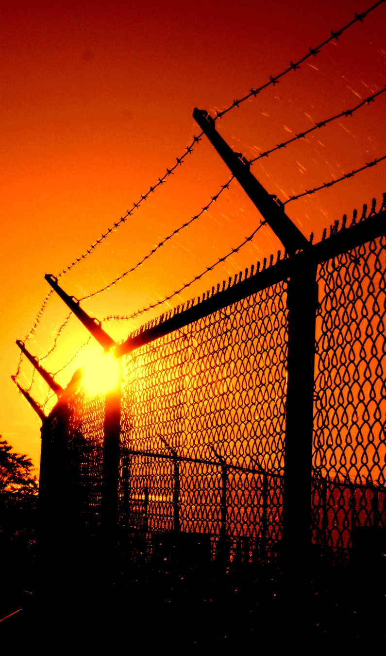 Fence and sun