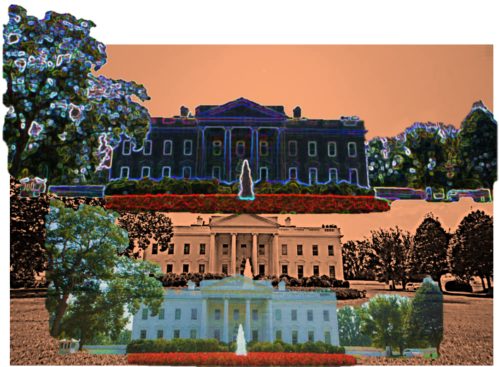 WhiteHouse Psychadelic